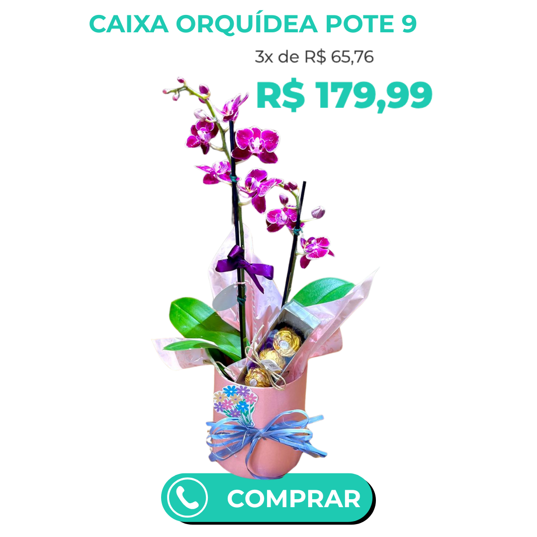 COMPRAR (3)